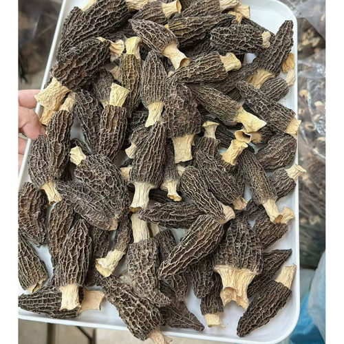 羊肚菌干货儿童健脾胃羊肚菌蒸蛋羊肚菌炖汤日常家庭煲汤材料