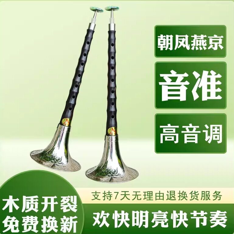 唢呐乐器成人儿童初学专业高音乌木小海笛小f调锁呐百鸟朝凤小E调