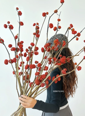 小南瓜干花天然真花花束客厅家居插花摆件红色干果秋日氛围感花材