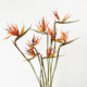 天堂鸟真花干花客厅家居装 饰摆件茶室摆设线条意境美干插花鹤望兰