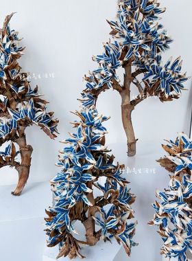 旅人蕉果荚种子天然植物果实标本高级干花插花装饰摆件蓝色花材