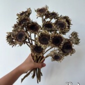 高级感复古真花干花暗黑系向日葵花束民宿咖啡厅家居插花装 饰摆设