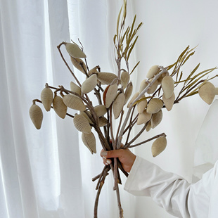进口木梨干花花束高级插花家居装饰花艺摆设稀有小种花材果实真花