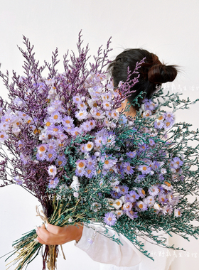 小雏菊天然真花鲁丹鸟情人草干花花束梦幻彩色家居插花装饰摆件