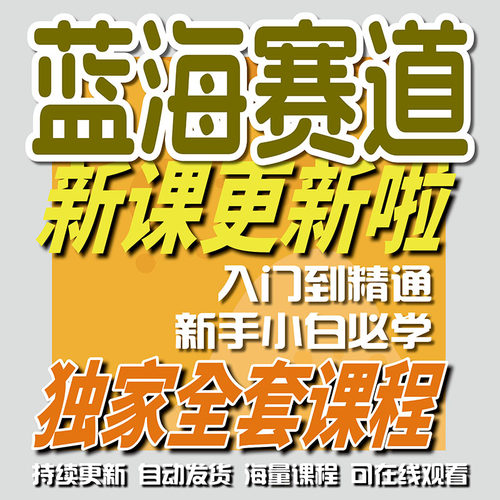 蓝海市场新玩法赚钱项目合集教程