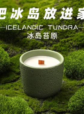 冰岛苔原小众高级艺术香薰蜡烛室内香氛生日扩香木质香膏礼盒