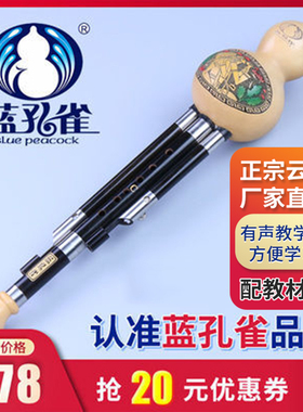 蓝孔雀云南乐器C 降B 小D G F调 演奏型学生成人初学黑檀木葫芦丝