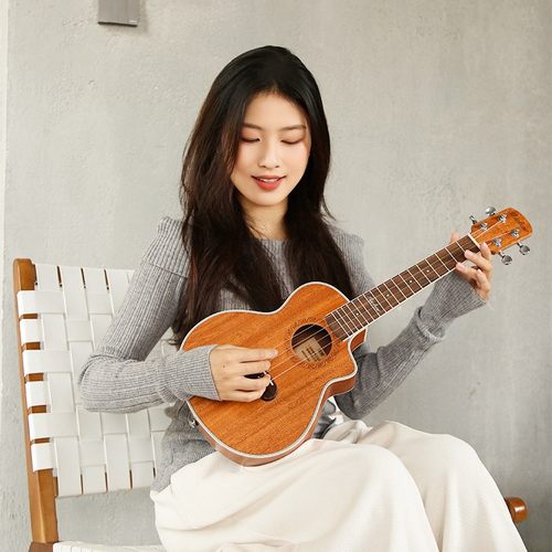 安德鲁尤克里里儿童女生乌克丽丽小吉他男初学者入门乐器