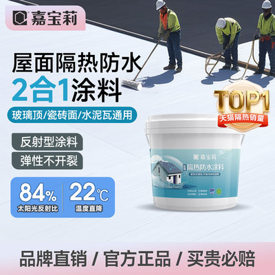 嘉宝莉屋顶防水隔热涂料耐高温漆