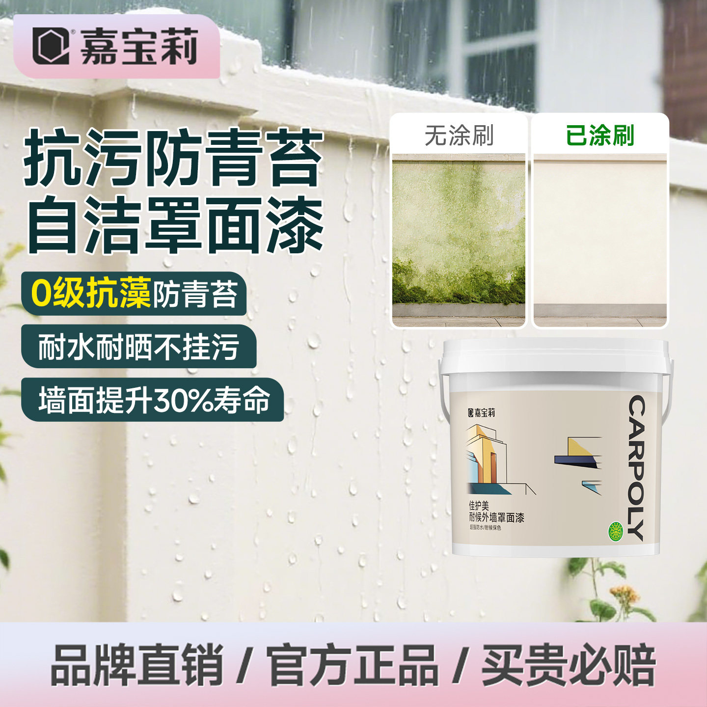 嘉宝莉外墙罩面漆荷叶耐污黑科技图片