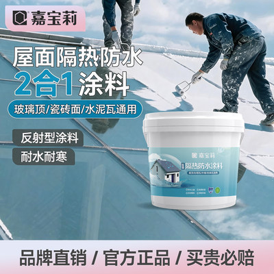 嘉宝莉阳光房玻璃隔热涂料防水