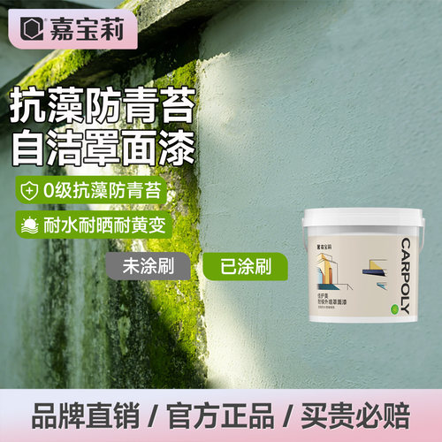嘉宝莉外墙罩面漆荷叶耐污黑科技