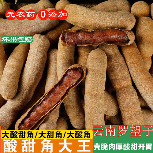 不缺斤少两刚下树云南酸甜角大王