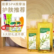 Chính hãng An An Jin tinh khiết cửa hàng cạo dầu ô liu massage mặt chăm sóc da cơ thể massage tinh dầu chăm sóc tóc khô - Tinh dầu điều trị