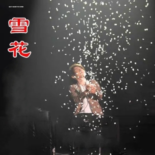 高品质雪花纸掌中飞雪天女散花大颗版每颗三排纸舞台魔术道具