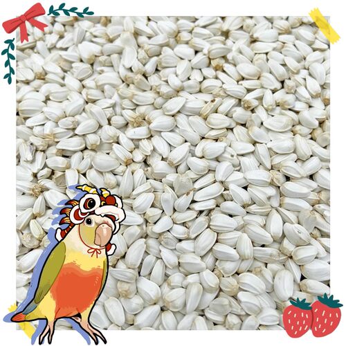 红花籽 红瓜子 白瓜子仓鼠鸽粮 鹦鹉食玄凤牡丹中型鹦鹉鹦鹉鸟食