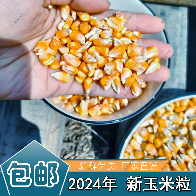 干玉米粒饲料酿酒打窝钓鱼饵大物农家宠物喂鸡鸭鹅鸟鸽子食苞米粒