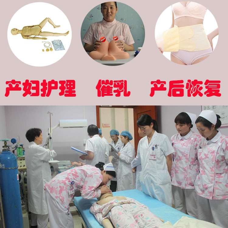 孕产妇模拟护理人催乳师乳房护理催乳通乳乳房模型及产后恢复物品