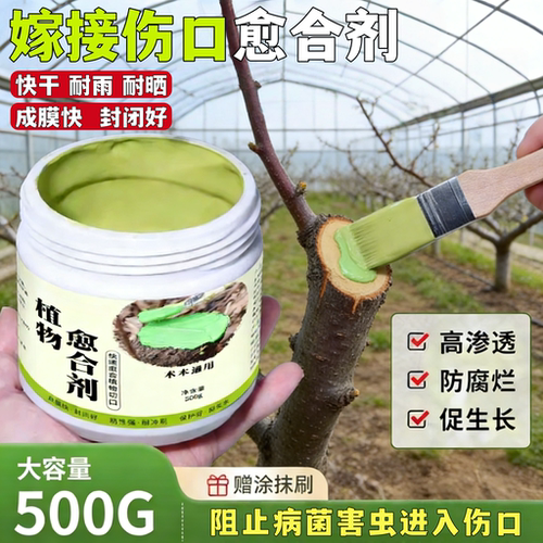 树木伤口愈合剂嫁接修剪通用