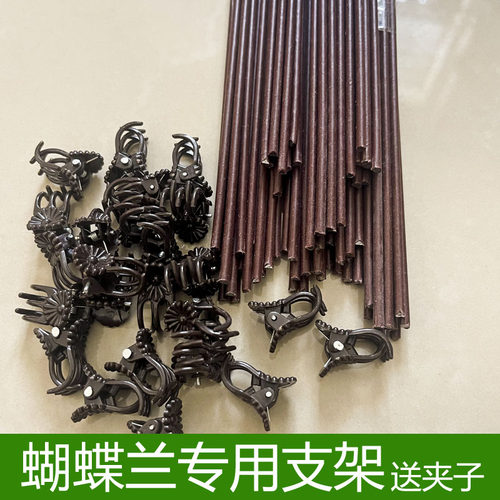 蝴蝶兰花支架兰夹子植物支撑杆爬藤花卉固定专用铁丝造型支架园艺