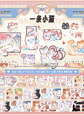 【新品首发】E厘米手帐云集市康桥PET贝壳光木兰花香夏果午后