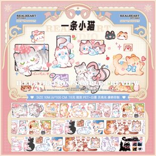 【新品首发】E厘米手帐云集市康桥PET贝壳光木兰花香夏果午后