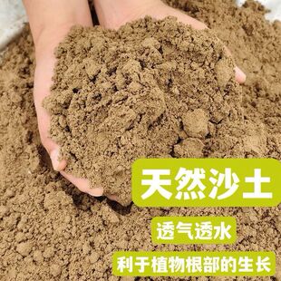 田园土黄土沙土泥巴土种菜种花种桂花土
