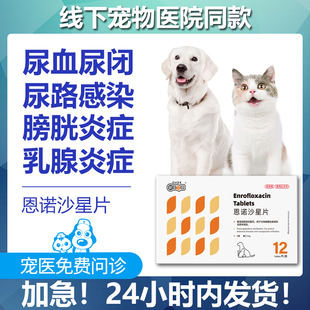 恩诺沙星片猫咪尿血尿路感染药狗泌尿子宫炎宠物结石膀胱炎消炎药