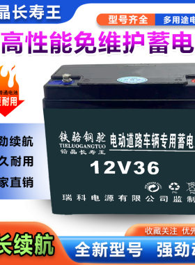 12V大容量电瓶免维护干电瓶夜市12v36ah蓄电池摆摊照明抽水机音响