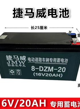 全新正品8-DZF-14电动车两轮车干电瓶16V48V64V80V14AH16V20A电池