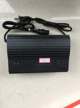 电瓶充电器爱玛雅迪电动车
