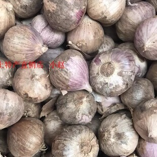 湖北省随州广水特产自家种植新鲜独蒜头紫皮蒜一斤16元拍4斤包邮