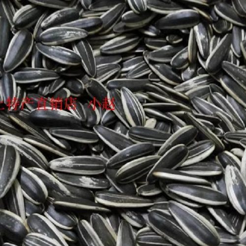 湖北广水特产大铁锅小火手工慢炒葵花子原味淡瓜子拍4斤包邮