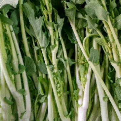 湖北广水特产自家种植新鲜蔬菜菜心 红菜薹白菜苔 500克