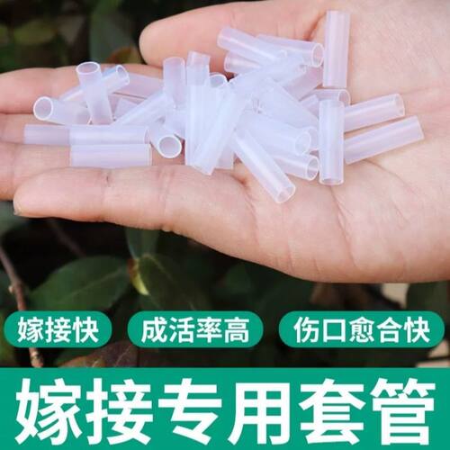 果树嫁接套管50个嫁接果树花卉嫁接套管嫁接专用套管嫁接专用