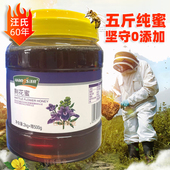 汪氏荆花蜂蜜5斤大瓶2500g纯正天然蜂蜜园荆条百花蜜糖旗舰官方店