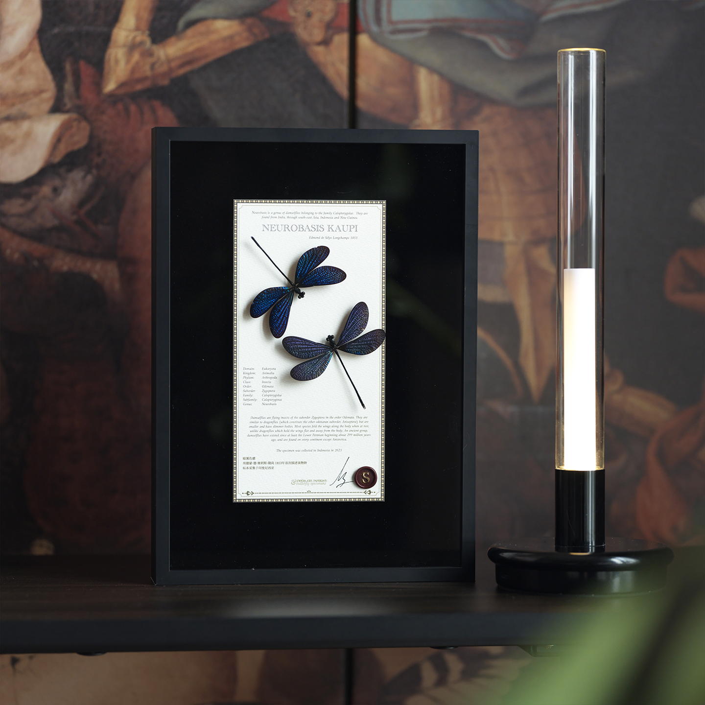 罕见梦幻蓝色蜻蜓定制情侣礼物