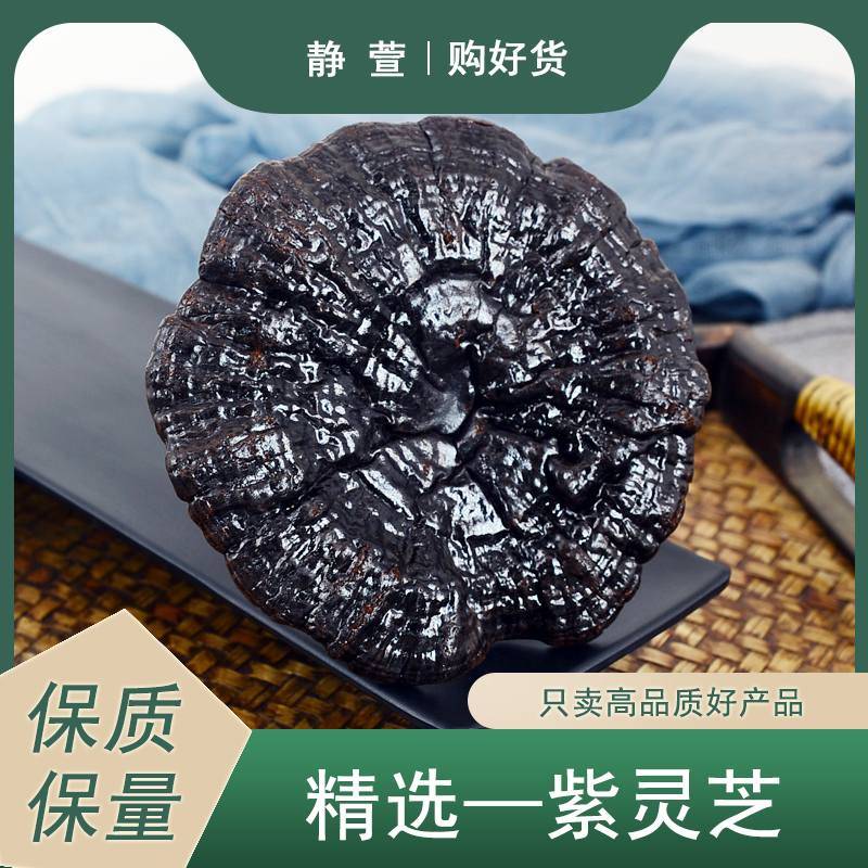 紫灵芝中药材静萱正品长白山紫灵芝整枝赤灵芝块切片灵芝粉林芝片