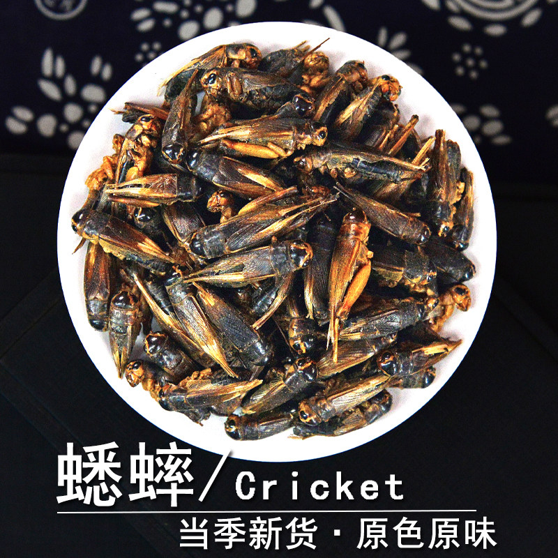 蟋蟀中药材静萱正品蟋蟀干蛐蛐夜鸣虫秋虫促织趋织非野生蟋蟀粉