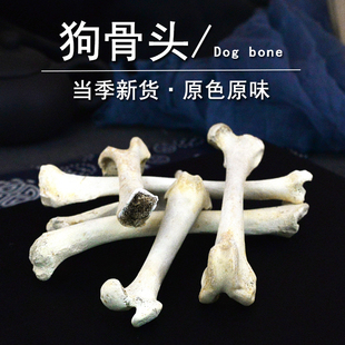 狗骨头中药材静萱正品生狗腿骨干货胫骨药用狗骨头粉犬骨头狗骨粉