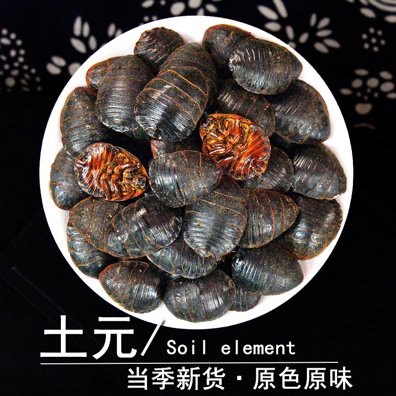 土元中药材静萱正品中华地鳖虫土肥元土鳖虫地乌龟非野生土元粉