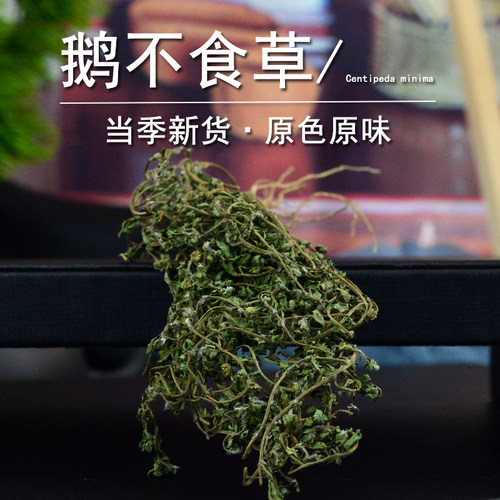 鹅不食草中药材正品鹅不食草药粉