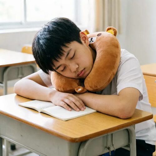 多功能四季通用u型枕靠枕护脖子颈椎枕旅行枕午睡枕午休可爱靠枕