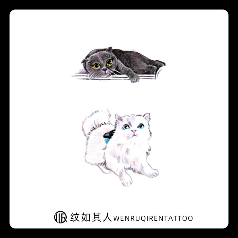 可爱黑白猫咪男女情侣纹身贴韩国小清新手绘小黑猫猫咪防水纹身贴