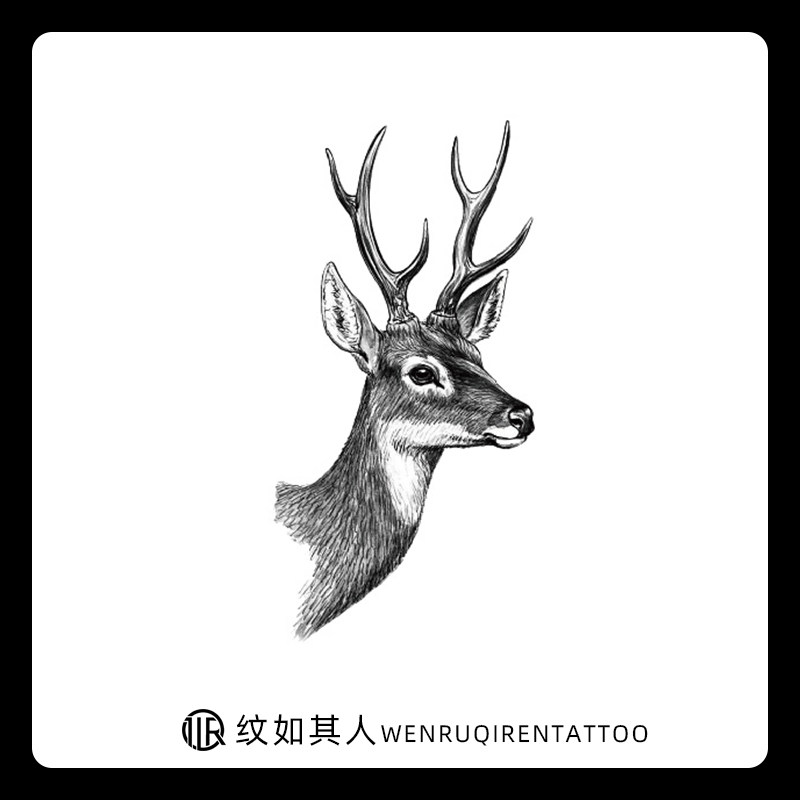 原宿手绘小鹿 麋鹿纹身贴 鹿头逼真黑色刺青贴男女通用创意纹身贴