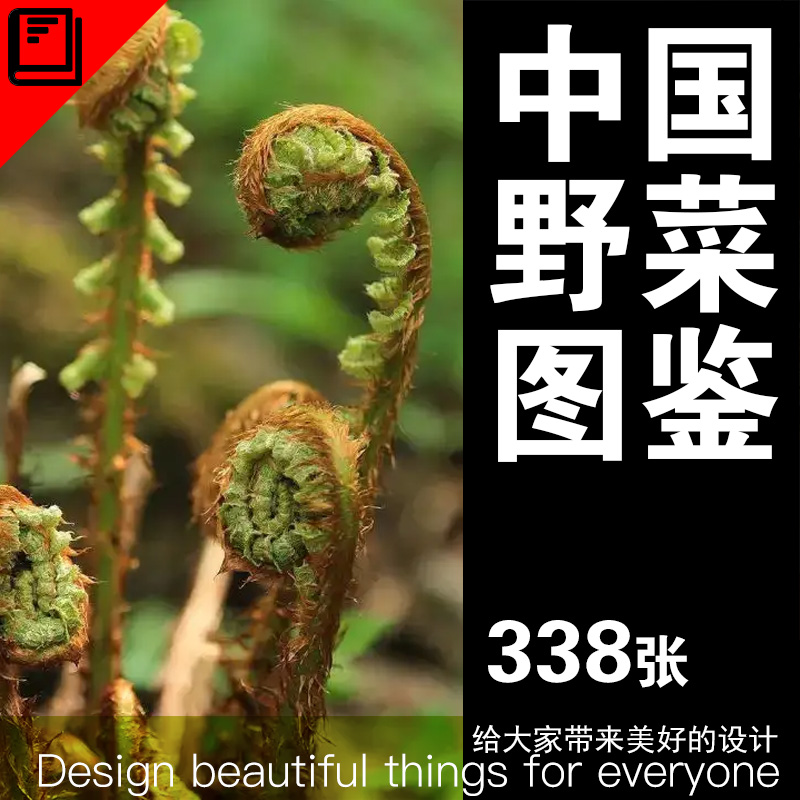 500种中国野菜识别与养生图鉴植物图谱野外植物食用药用荒野生存