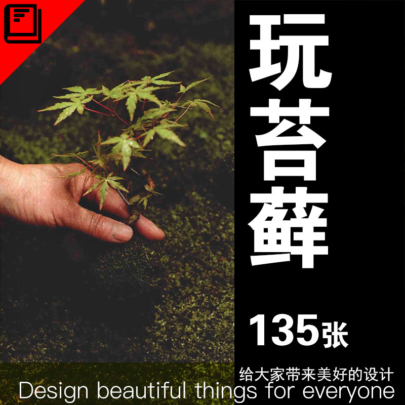玩苔藓手制苔藓球苔藓小景苔藓园艺迷你盆栽教程图鉴日本日式鉴赏