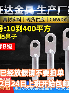 铝鼻子DL-16 25 35 50 240平方接线鼻线耳电缆铝接头接线端子厂标