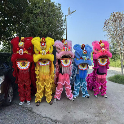 舞狮道具南狮醒狮成人儿童双人小狮子舞狮子儿童道具南狮狮子整套