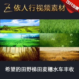 LED素材VJ大屏幕舞台视频背景素材 希望田野水车蒲公英向日葵丰收